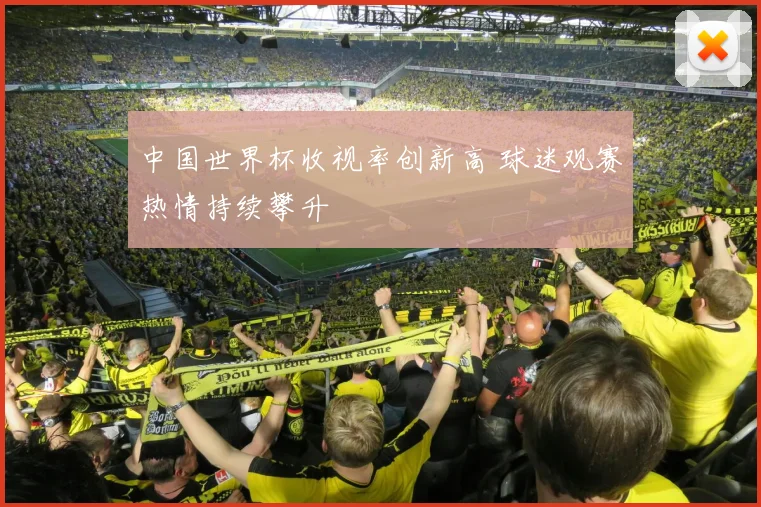 中国世界杯收视率创新高 球迷观赛热情持续攀升