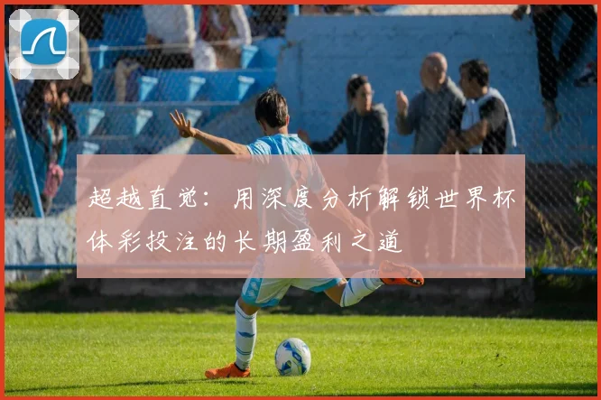 超越直觉:用深度分析解锁世界杯体彩投注的长期盈利之道