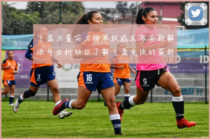 飞盘力量实力榜单权威发布全新解读与分析助你了解飞盘竞技的最新动态