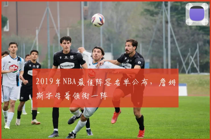 2019年NBA最佳阵容名单公布，詹姆斯字母哥领衔一阵