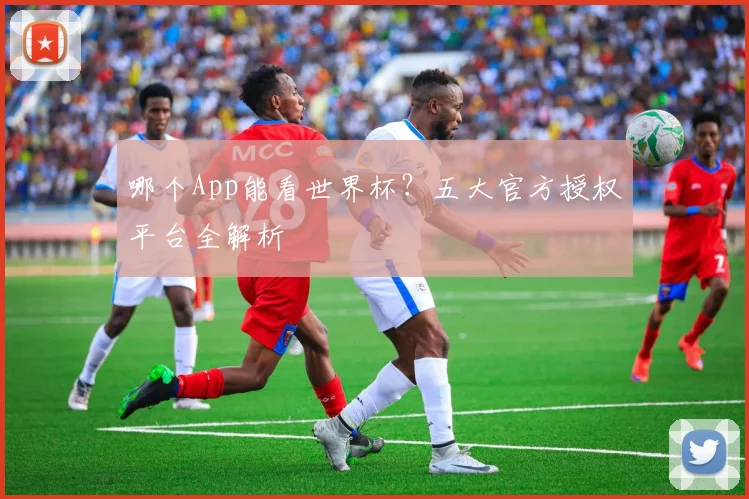 哪个App能看世界杯？五大官方授权平台全解析