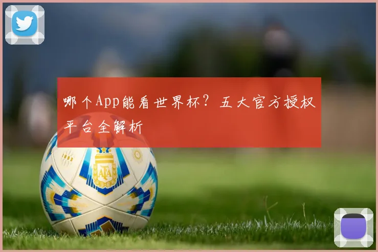 哪个App能看世界杯？五大官方授权平台全解析