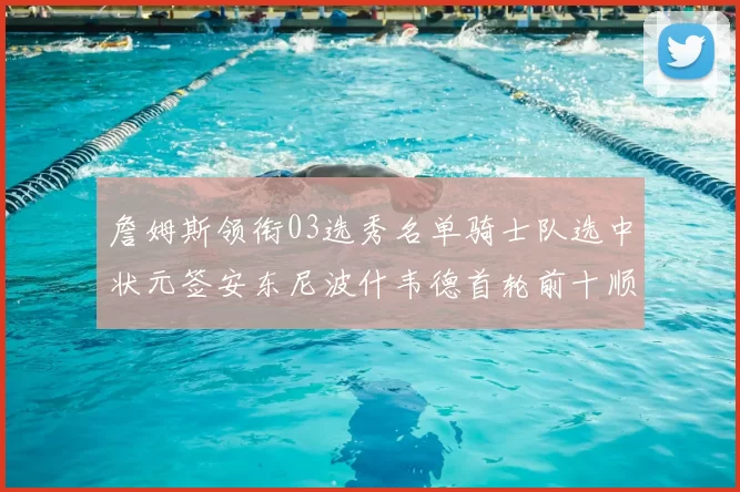 詹姆斯领衔03选秀名单骑士队选中状元签安东尼波什韦德首轮前十顺位出炉