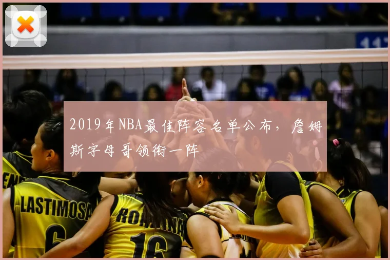 2019年NBA最佳阵容名单公布，詹姆斯字母哥领衔一阵