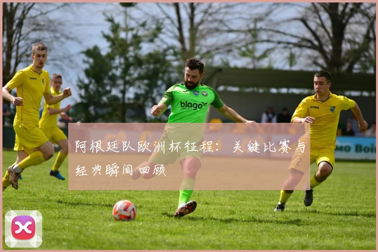 阿根廷队欧洲杯征程:关键比赛与经典瞬间回顾