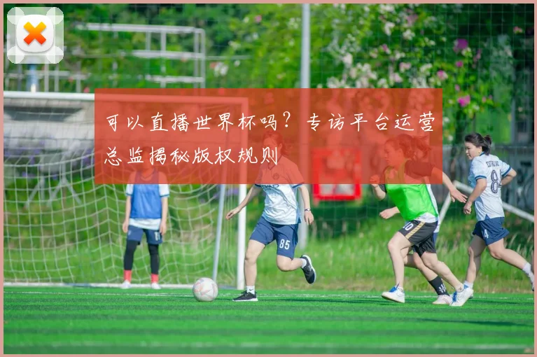 可以直播世界杯吗?专访平台运营总监揭秘版权规则
