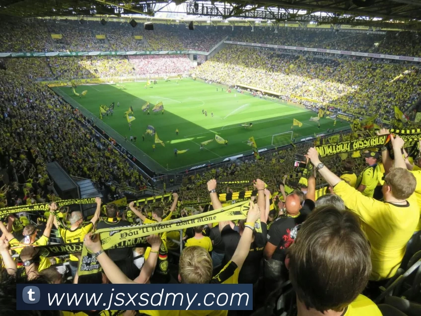 华体会体育APP 封面图